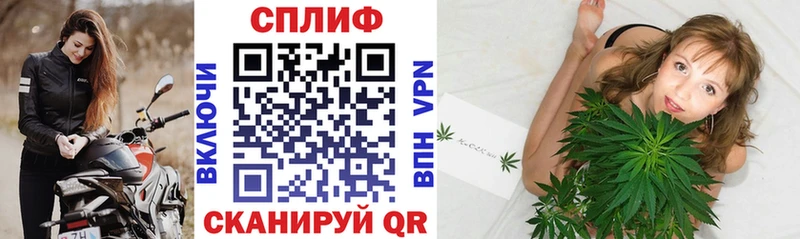 Купить где  Киренск  МАРИХУАНА индика 